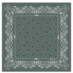 Carré de soie 50 French Bandana