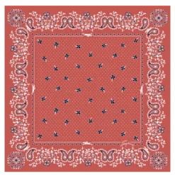Carré de soie 50 French Bandana