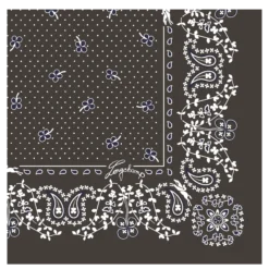 Carré de soie 50 French Bandana
