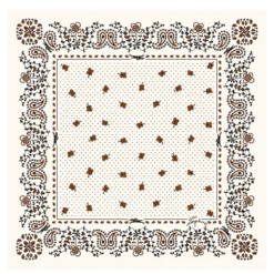 Carré de soie 50 French Bandana