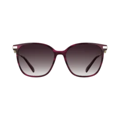 Lunettes de soleil