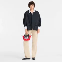 Sac à main XS My Pliage